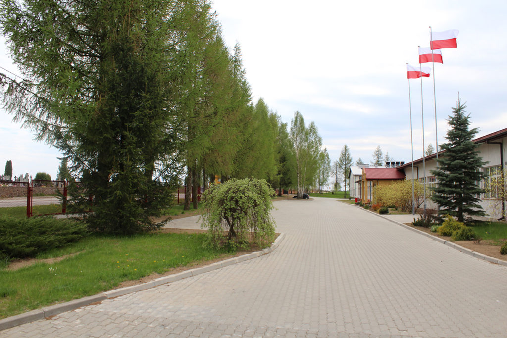 Szkoła