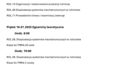 Egzaminy zawodowe zima – terminy i wykaz zdających