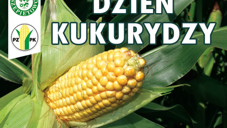 Krajowy Dzień Kukurydzy