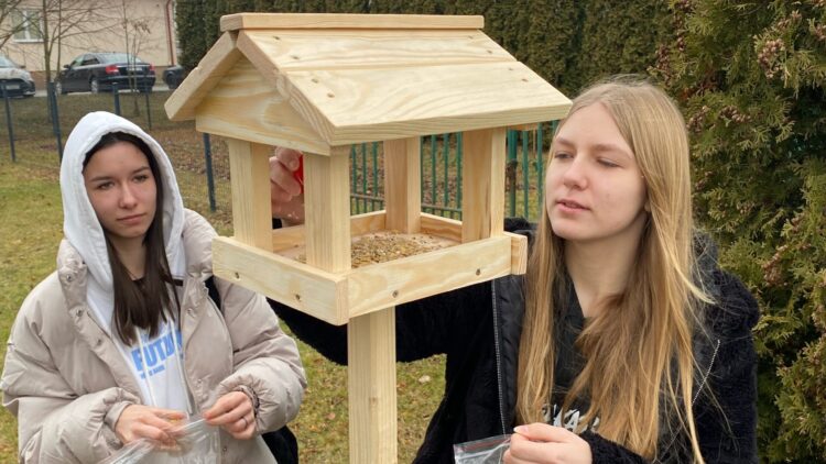 Karmnik dla ptaków na terenie naszej szkoły!